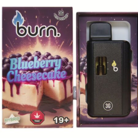 Burn Disposable Pen 3g – Blueberry Cheesecake