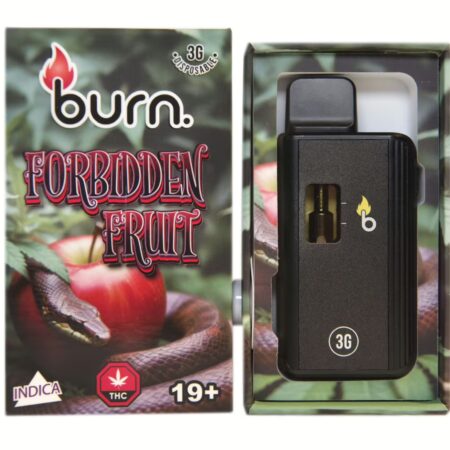 Burn Disposable Pen 3g – Forbidden Fruit