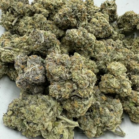 Exotic – Bahama Mama LSO