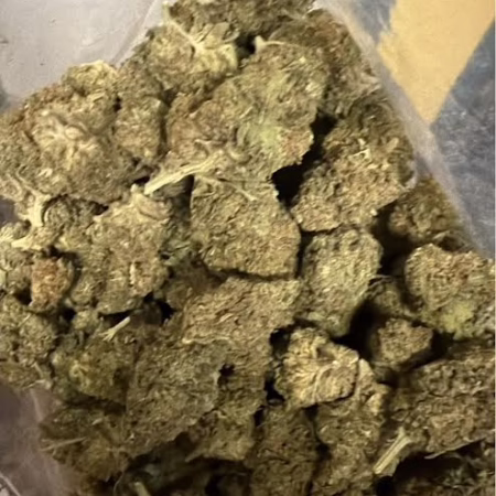 Mendo Breath cannabis strain featuring dense, frosty buds with rich green hues, ideal for relaxation and stress relief.