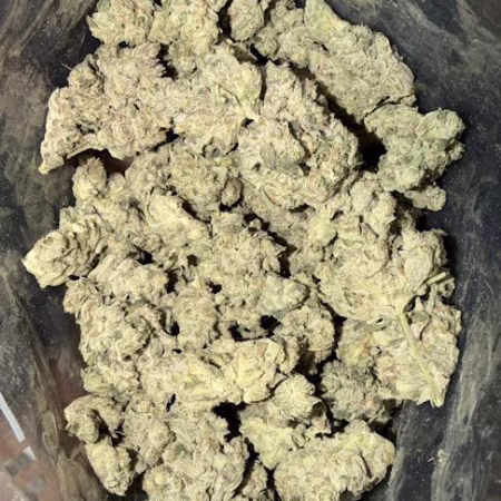 A close-up view of Forbidden Fruit cannabis buds, showcasing their unique texture and color, ideal for connoisseurs.