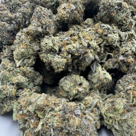 Exotic – Frosted Gelato LSO