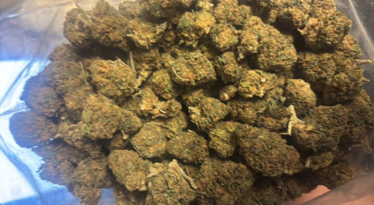Grape Ape