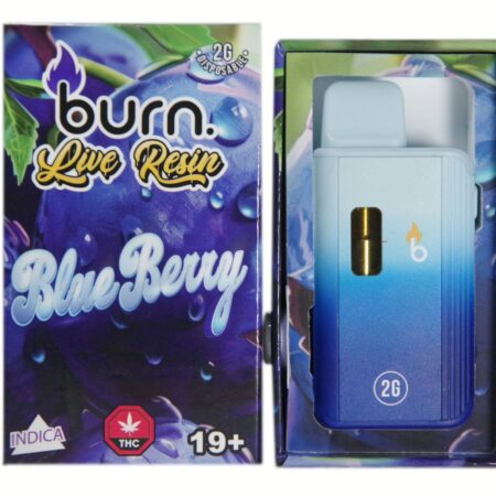 Burn Disposable Pen 2g (Live Resin) – Blueberry