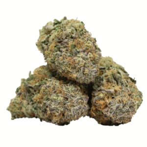 Purple Punch Strain