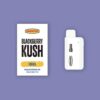 OneStop Disposable Pen 3g – Blackberry Kush