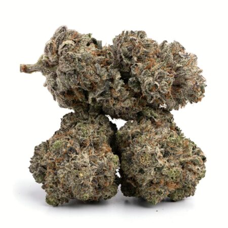 Bubba Kings – Paralyze Pink