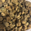 Purple Urkle