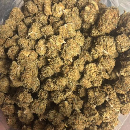 Animal Cookies