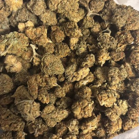Purple Urkle
