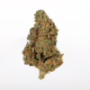 Peach Crescendo F-1
