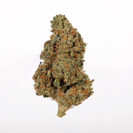 Peach Crescendo F-1