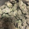 Black Truffle