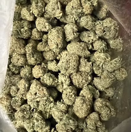 A close-up view of Northern Lights cannabis buds, showcasing their dense and frosty appearance in a clear bag.