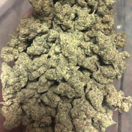 Northern Lights
