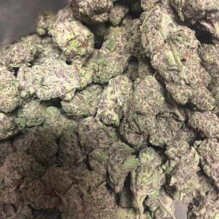 Black Truffle
