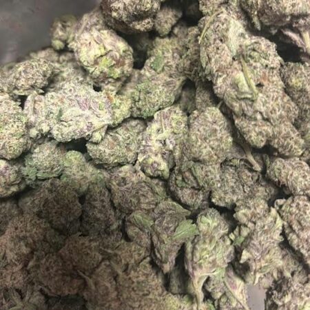 Black Truffle