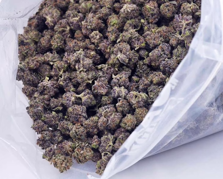 Purple Push Pop Smalls