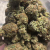 G13