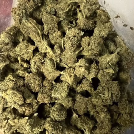 High-quality Blueberry Kush buds displayed in bulk for sale.