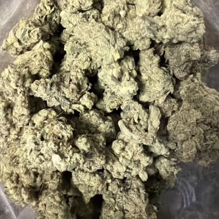 Close-up view of Purple Octane cannabis buds showcasing their dense and frosty texture, ideal for connoisseurs.