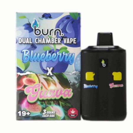 Burn Dual Chamber Pen 6g – Blueberry (I) + Guava (H)