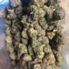 Purple Elephant