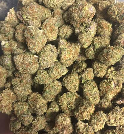 Meat Breath