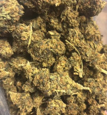 Guava Berry