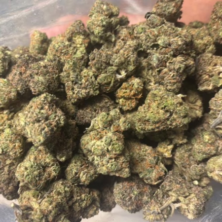 London Purpz