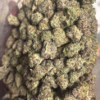 Comatose OG