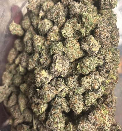 Comatose OG