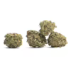 Blue Kush Berry
