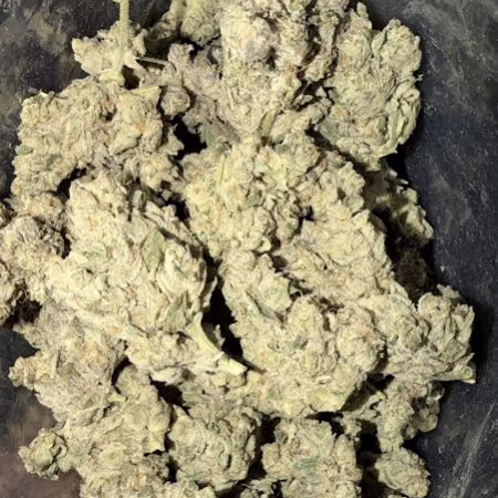 Close-up of Jet Fuel Gelato cannabis buds showcasing their dense, frosty texture and vibrant green hues.