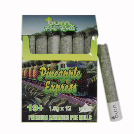 Burn Pre Roll 12 Pack - Pineapple Express