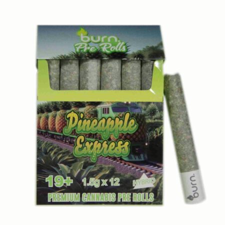 Burn Pre Roll 12 Pack – Pineapple Express