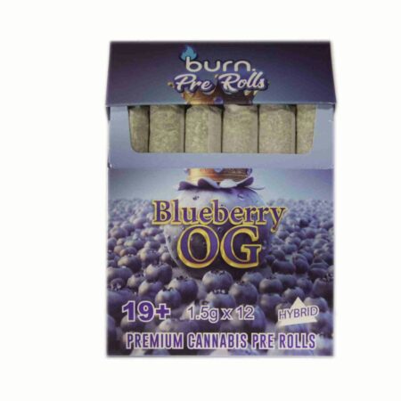 Burn Pre Roll 12 Pack – Blueberry OG