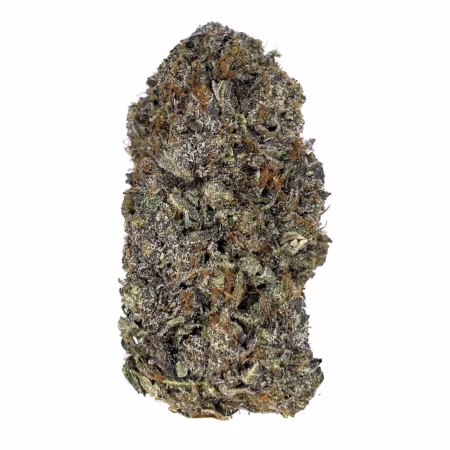 Bubba Kings - KO Pink