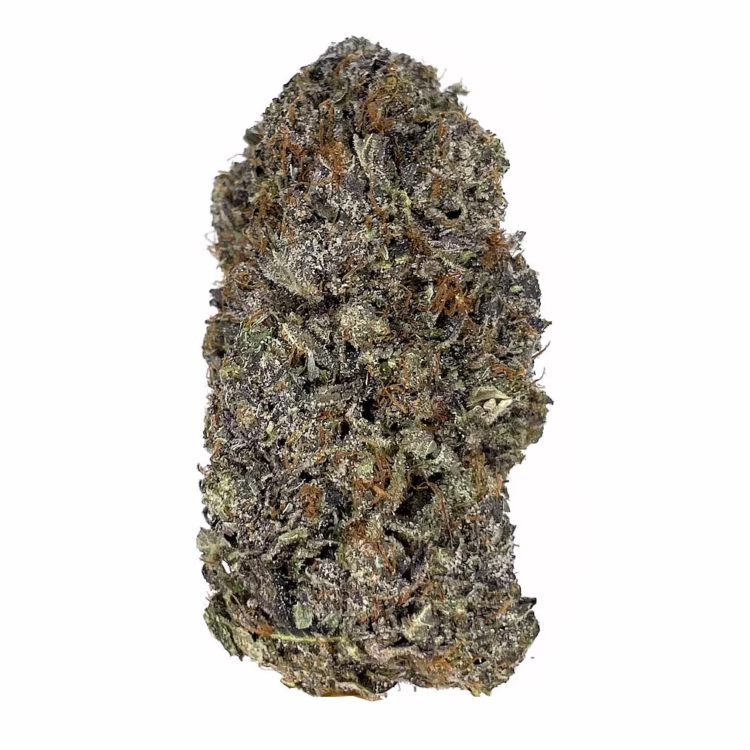 Bubba Kings - KO Pink
