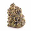 Purple Space Jam