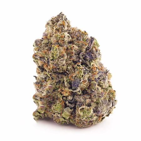 Purple Space Jam