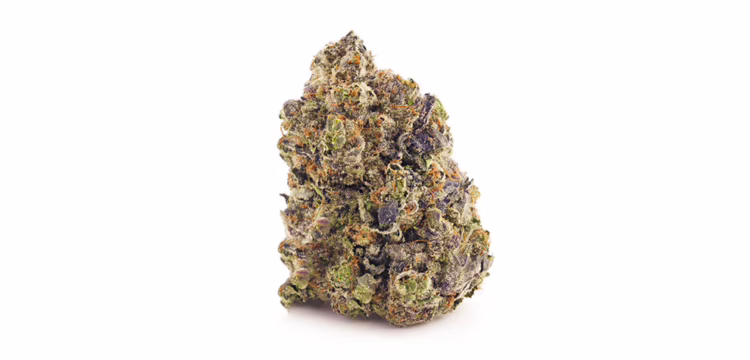 Purple Space Jam
