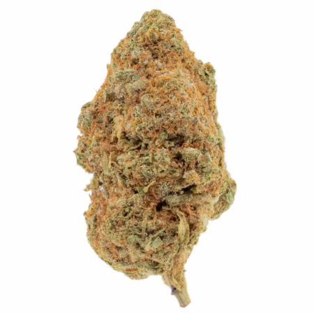 King Tut