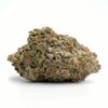 King Louis Cookies Marijuana UK
