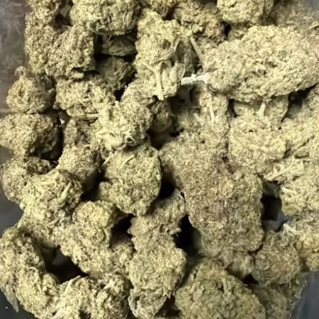 Close-up image showcasing a fresh harvest of Northern Berry cannabis buds, highlighting their dense structure and potent aroma. Great for medical use.