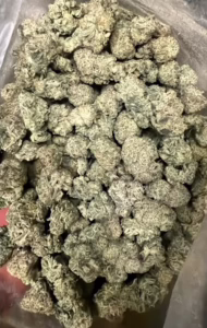 Maui Wowie cannabis strain featuring dense, green buds with a rich texture and vibrant appearance, ideal for relaxation.