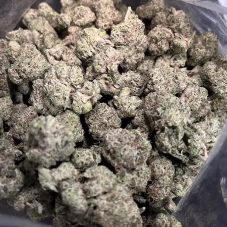 Close-up view of Bandaid Haze #7 cannabis buds showcasing their dense, frosty texture and vibrant green color.