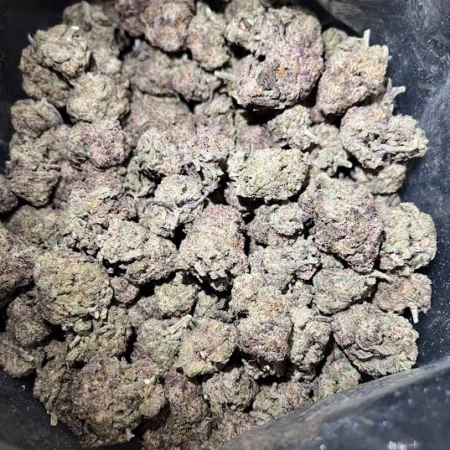 Close-up view of Afghani cannabis buds showcasing their rich texture and color, ideal for connoisseurs and enthusiasts.