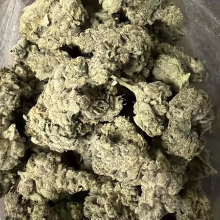 Delicious mango cake topped with fresh mango slices, perfect for summer celebrations and dessert lovers.