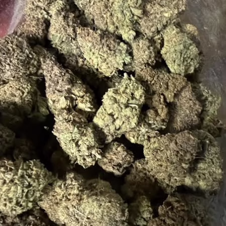 Close-up of Cereal Milk cannabis buds showcasing their dense, frosty texture and vibrant green hues.